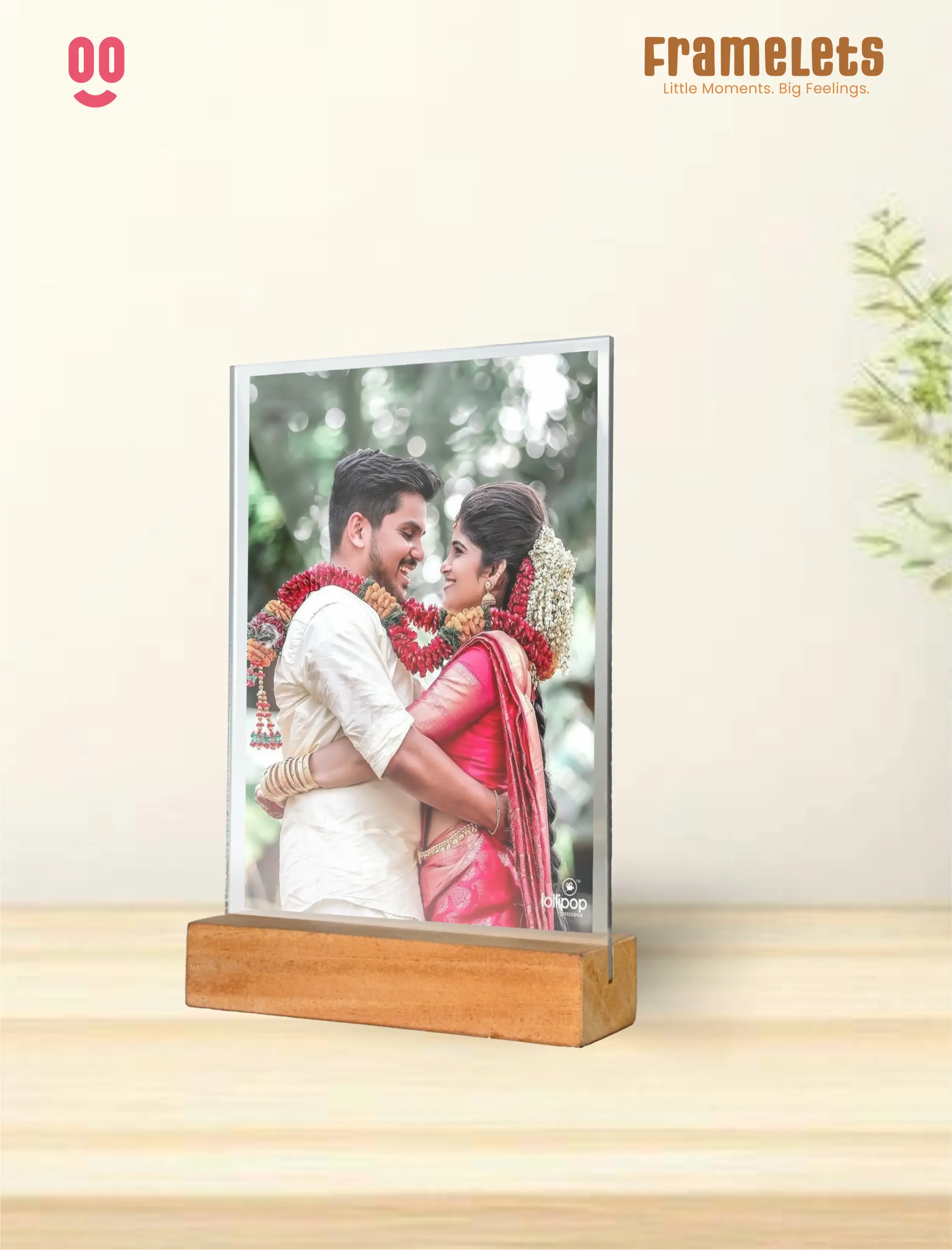 Framelet